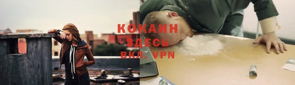 кокс Аркадак