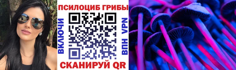 площадка Telegram  закладки  Междуреченск  Галлюциногенные грибы Magic Shrooms 